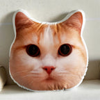 Personalized Pillow Gifts Custom Pillow Pet Pillows+Pillow insert