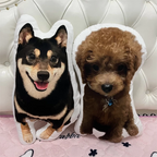 Personalized Pillow Gifts Custom Pillow Pet Pillows+Pillow insert